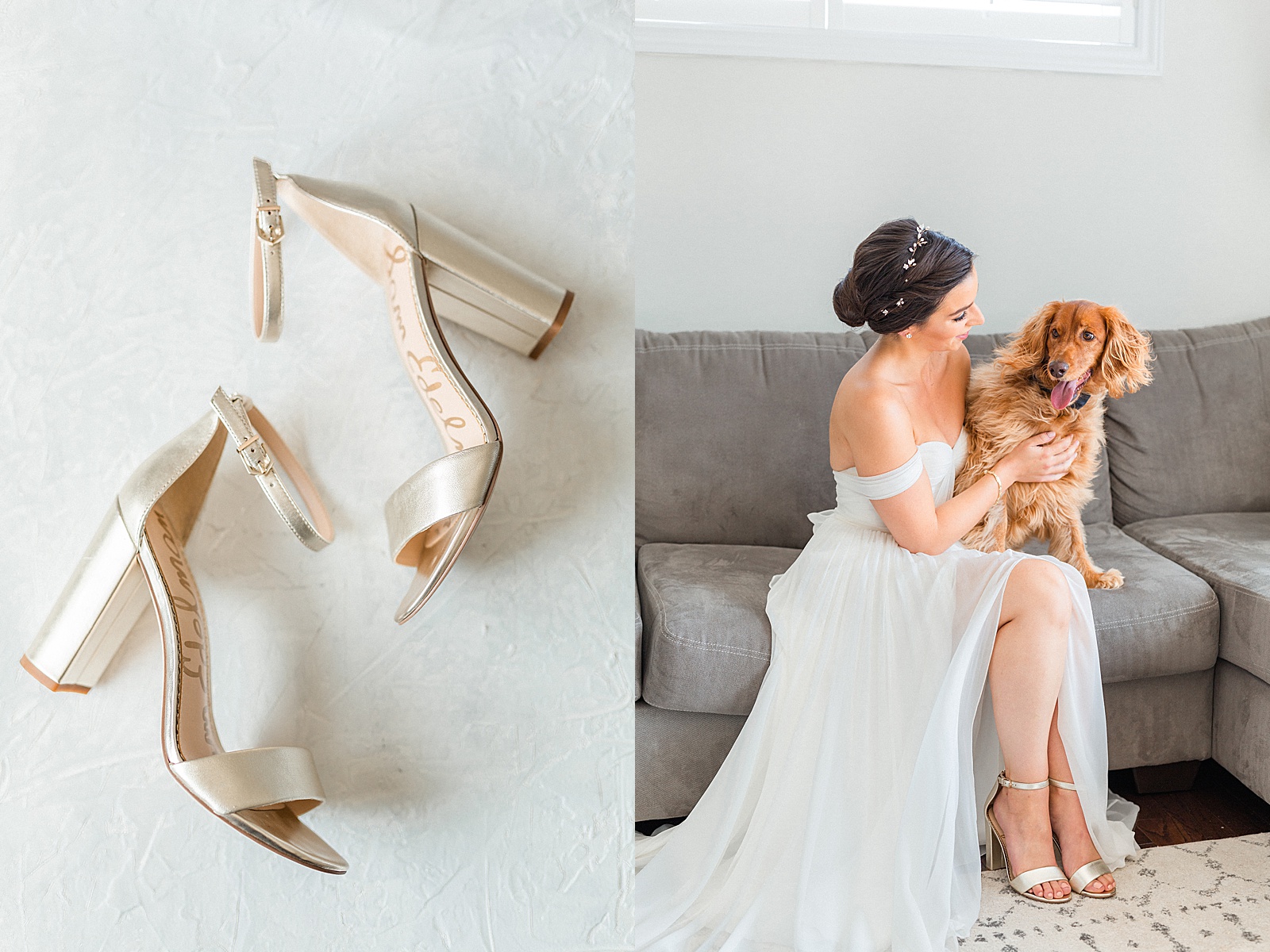 Wedding shoes and puppy