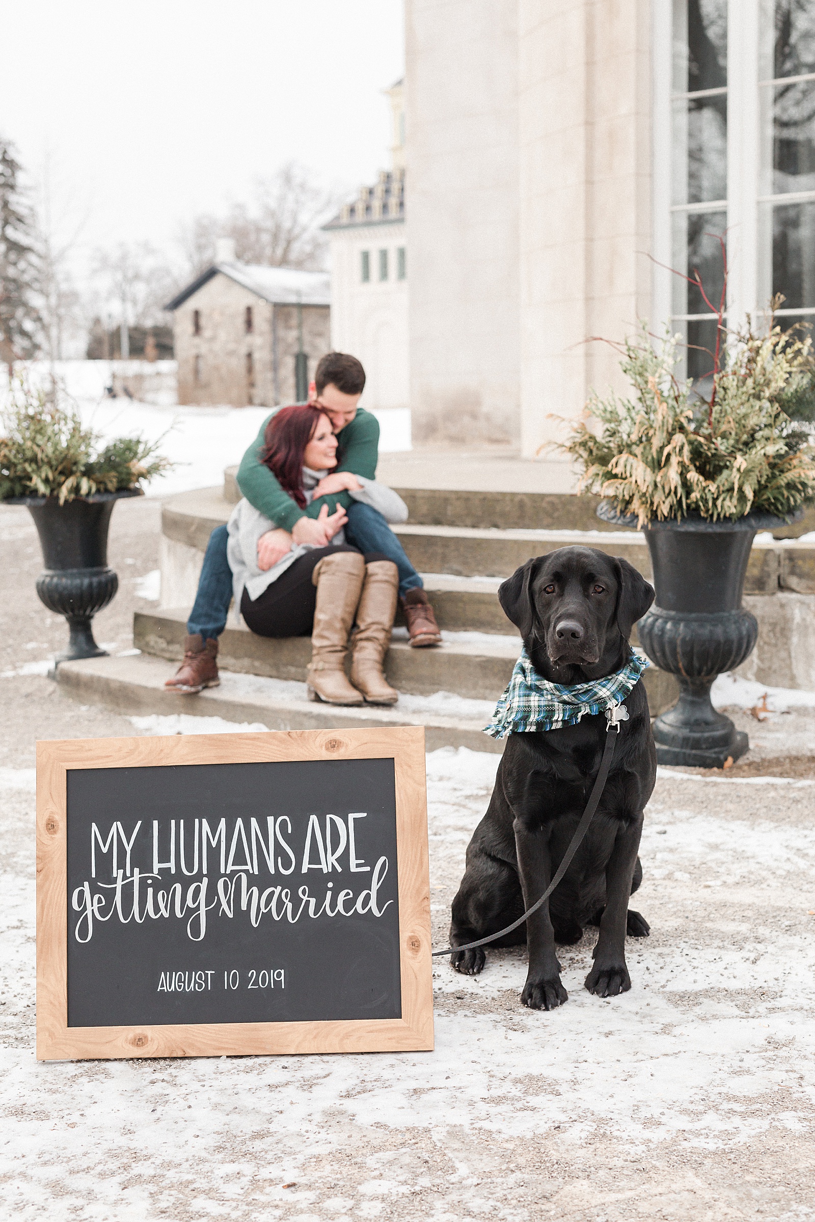 Engagement session at Dundurn Castle with a dog
