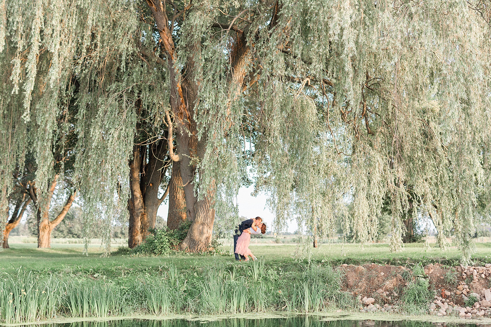 Engagement session with a willow tree